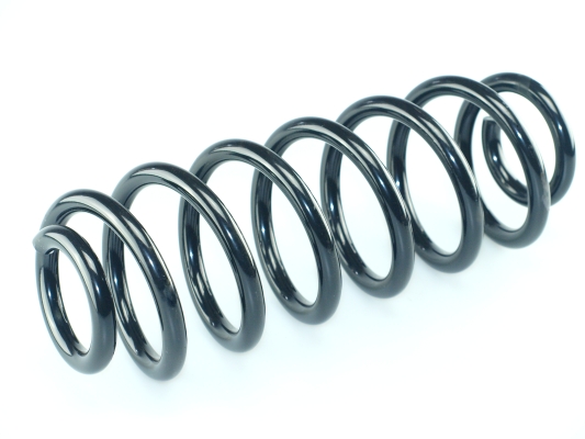 CS Germany 14.950.736 Fahrwerksfeder Hinterachse für VW