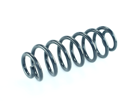 CS Germany 14.950.737 Fahrwerksfeder Hinterachse für SKODA VW