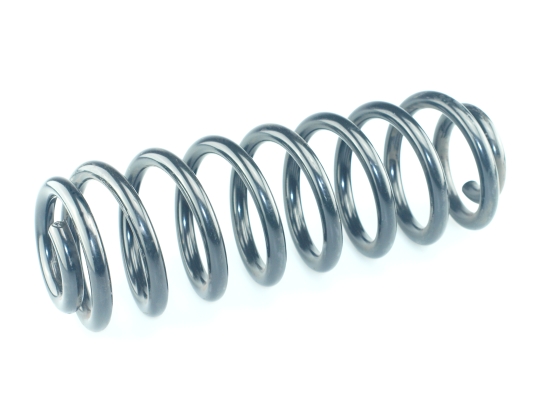 CS Germany 14.950.790 Fahrwerksfeder Hinterachse für VW