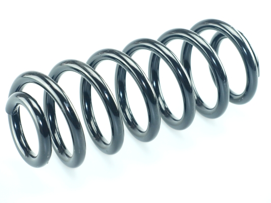 CS Germany 14.950.878 Fahrwerksfeder Hinterachse für AUDI